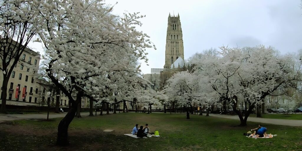 Sakura Park in Manhattan